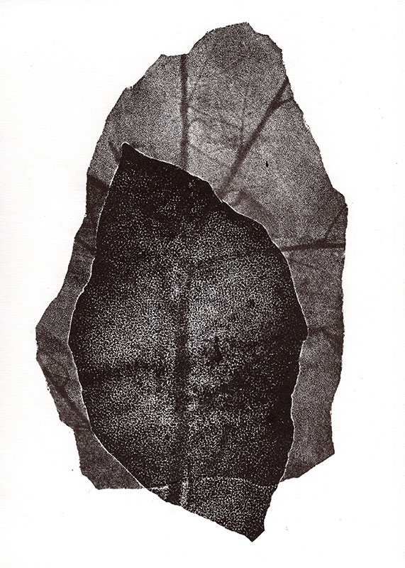 fossiles-en-apesenteur-01