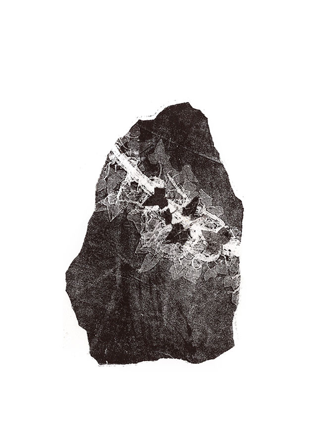 fossiles-en-apesenteur-01