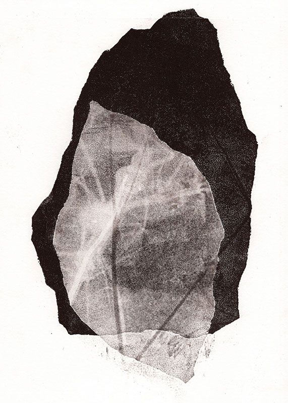 fossiles-en-apesenteur-03