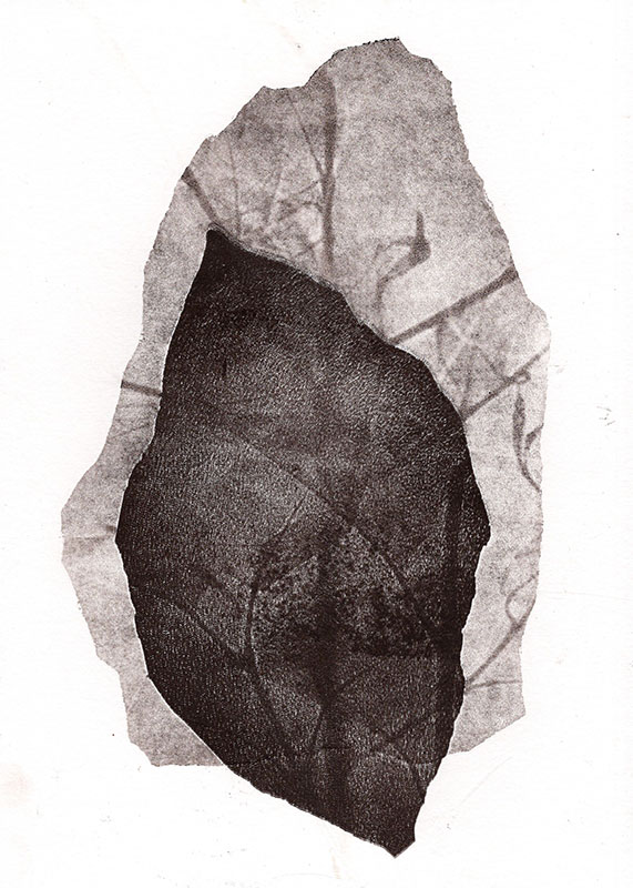 fossiles-en-apesenteur-04