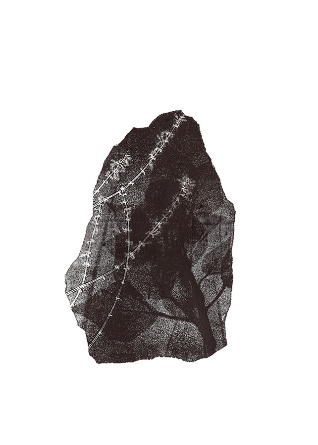 fossiles-en-apesenteur-04