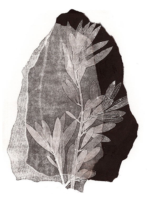 fossiles-en-apesenteur-05