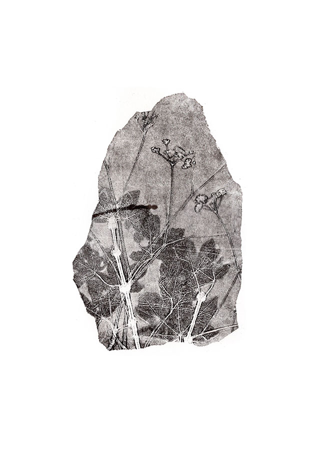 fossiles-en-apesenteur-06