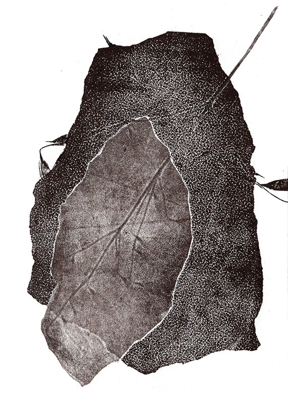 fossiles-en-apesenteur-06