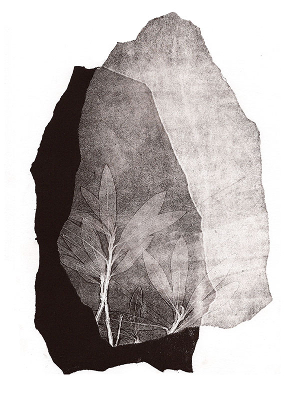 fossiles-en-apesenteur-07