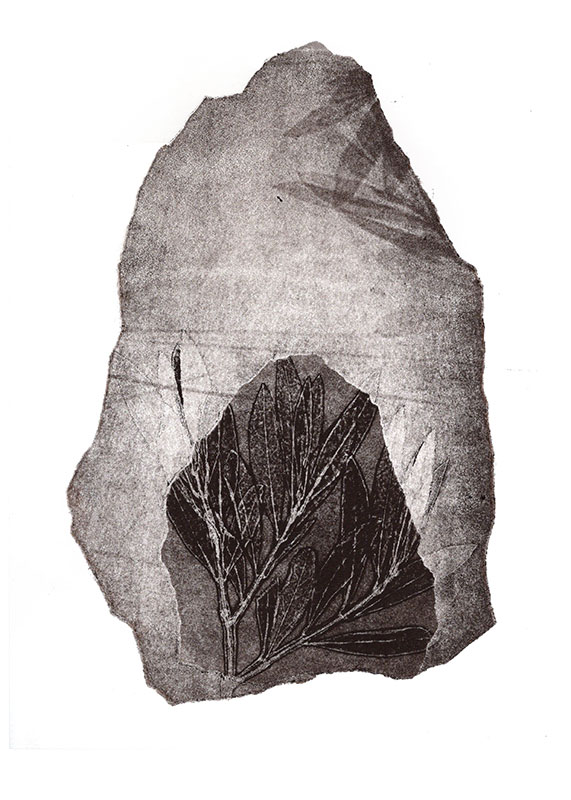 fossiles-en-apesenteur-08