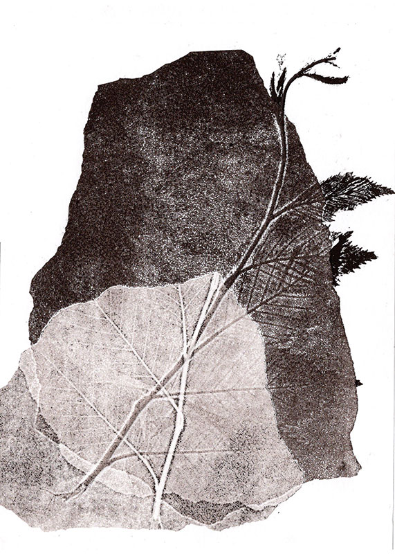 fossiles-en-apesenteur-08