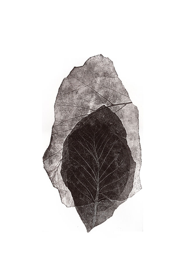 fossiles-en-apesenteur-09