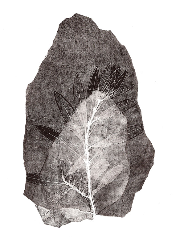 fossiles-en-apesenteur-10