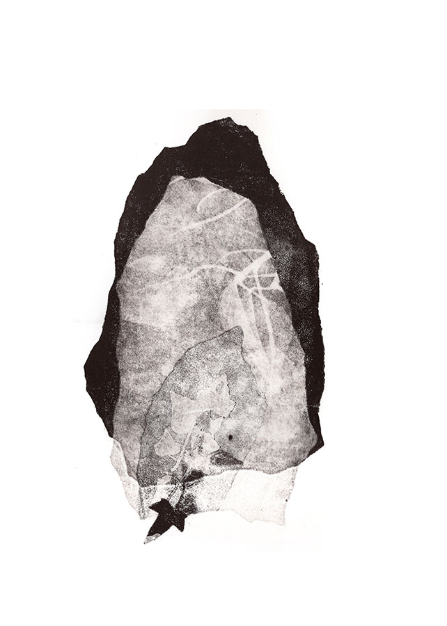 fossiles-en-apesenteur-10