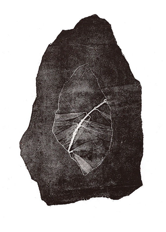 fossiles-en-apesenteur-11