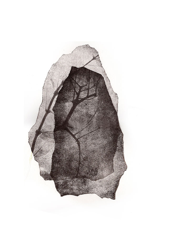 fossiles-en-apesenteur-11