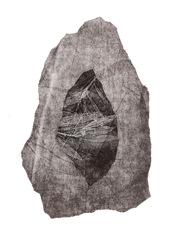 fossiles-en-apesenteur-14