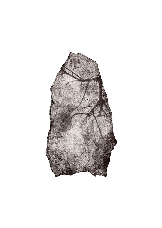 fossiles-en-apesenteur-14