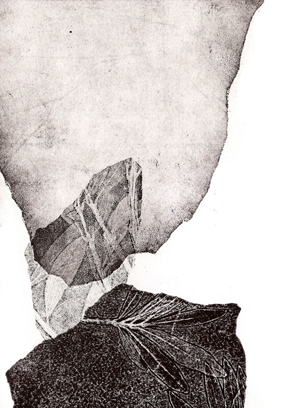 fossiles-en-apesenteur-14