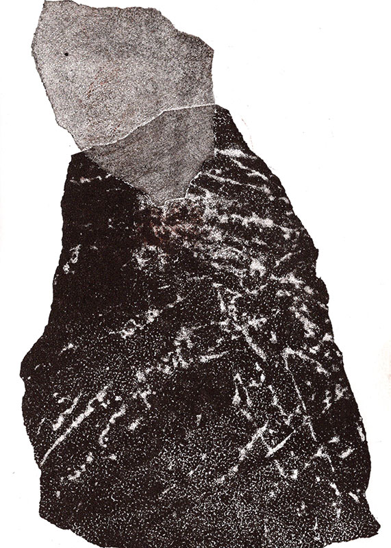 fossiles-en-apesenteur-15