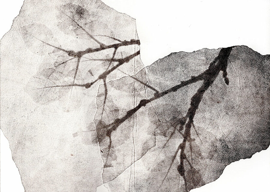 fossiles-en-apesenteur-16