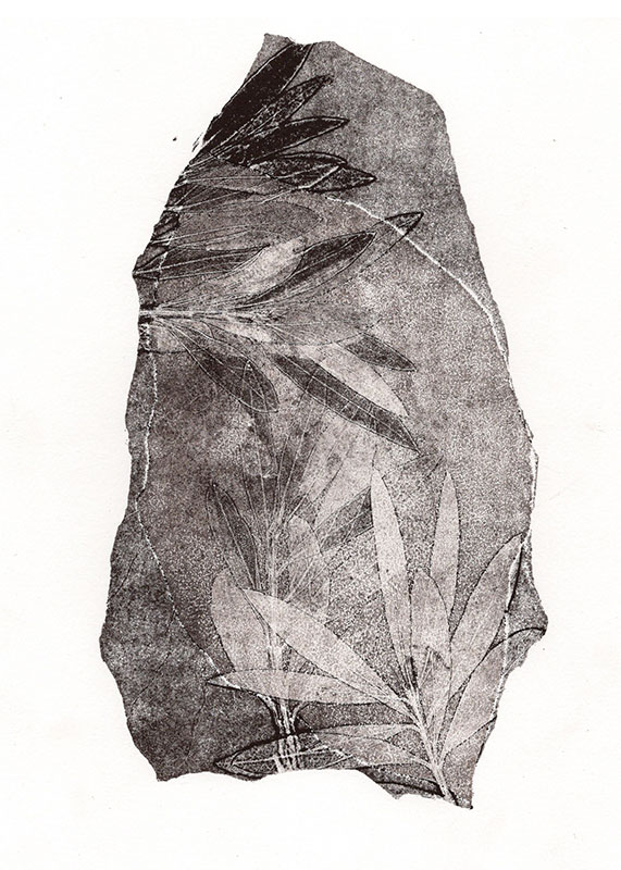 fossiles-en-apesenteur-18