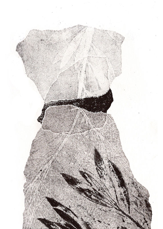 fossiles-en-apesenteur-18