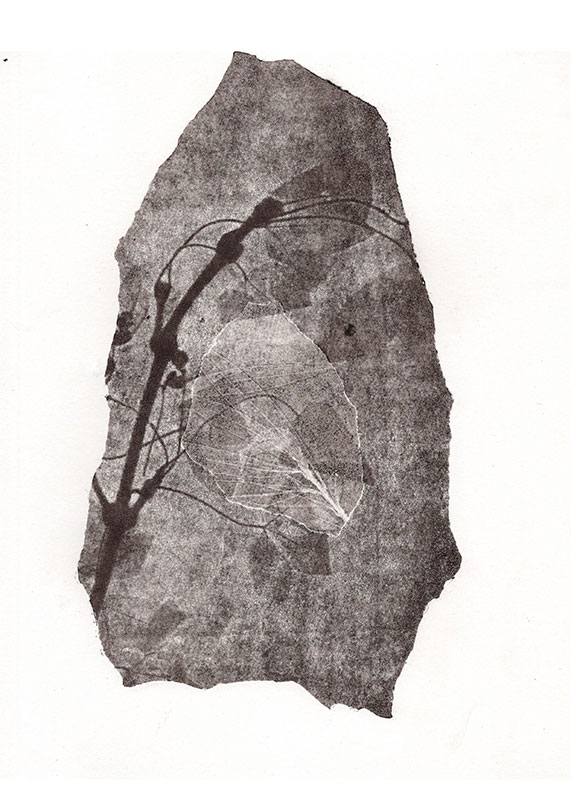 fossiles-en-apesenteur-20