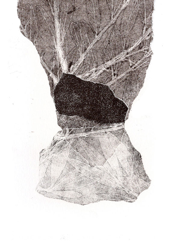 fossiles-en-apesenteur-20