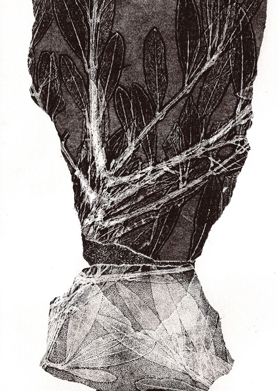 fossiles-en-apesenteur-21