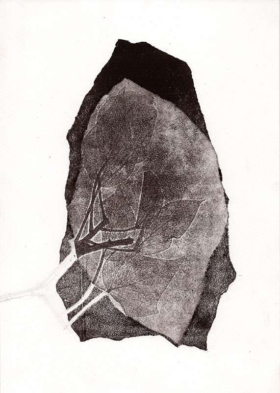 fossiles-en-apesenteur-22