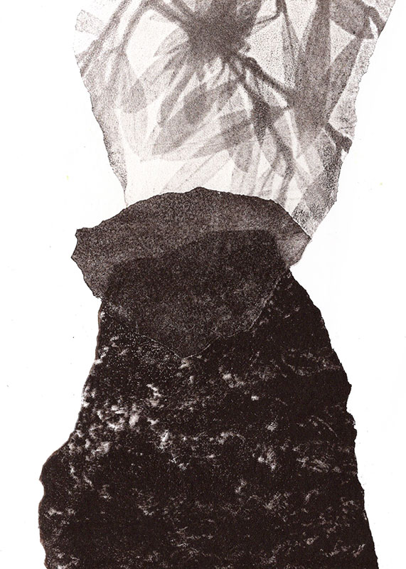 fossiles-en-apesenteur-22