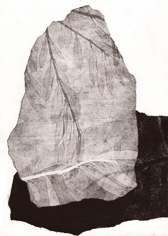 fossiles-en-apesenteur-23