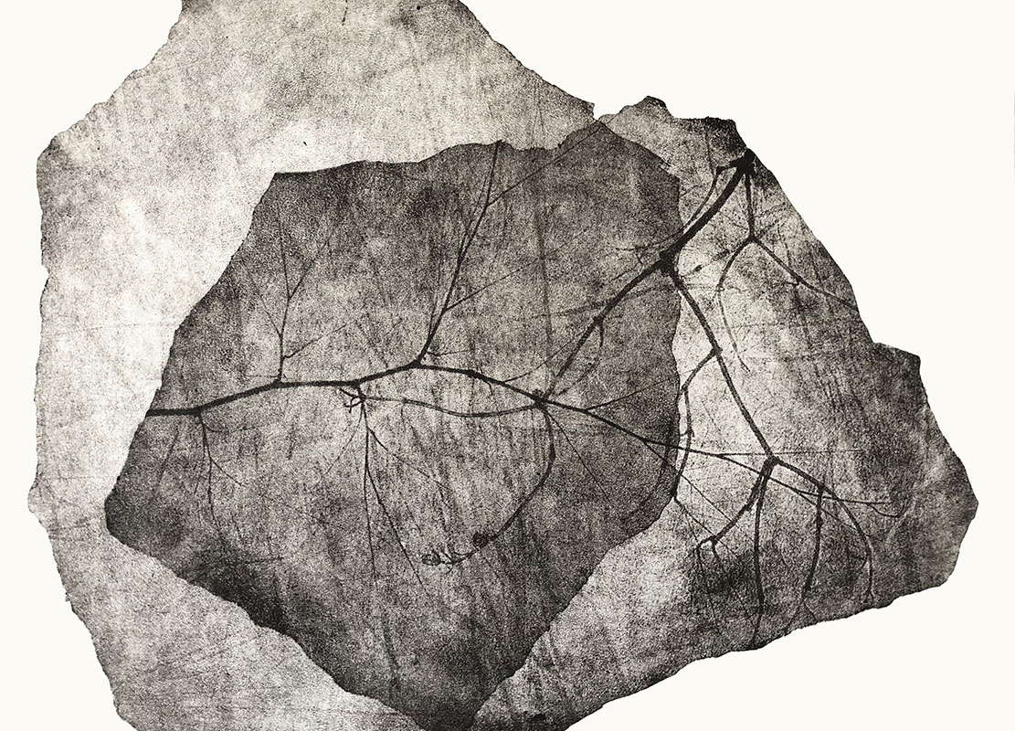 fossiles-en-apesenteur-23