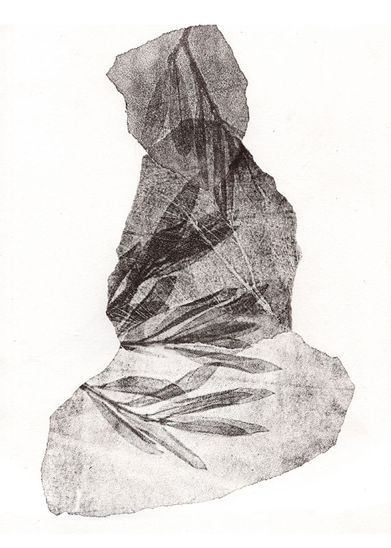 fossiles-en-apesenteur-24