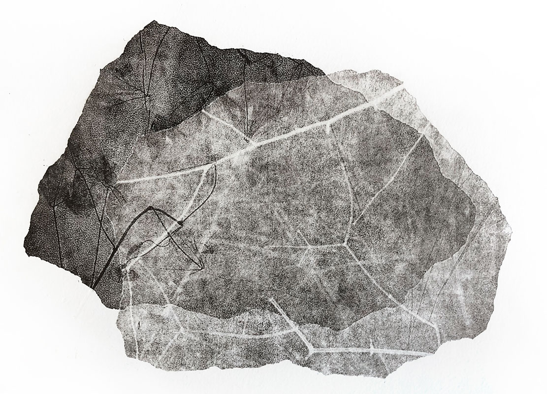 fossiles-en-apesenteur-24