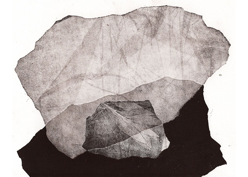 fossiles-en-apesenteur-26