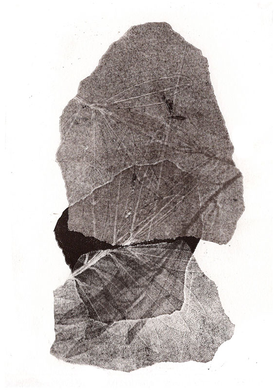 fossiles-en-apesenteur-26