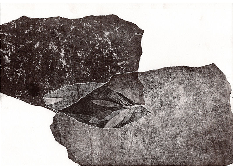 fossiles-en-apesenteur-27