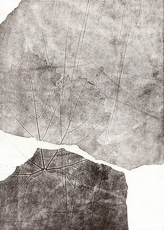 fossiles-en-apesenteur-28