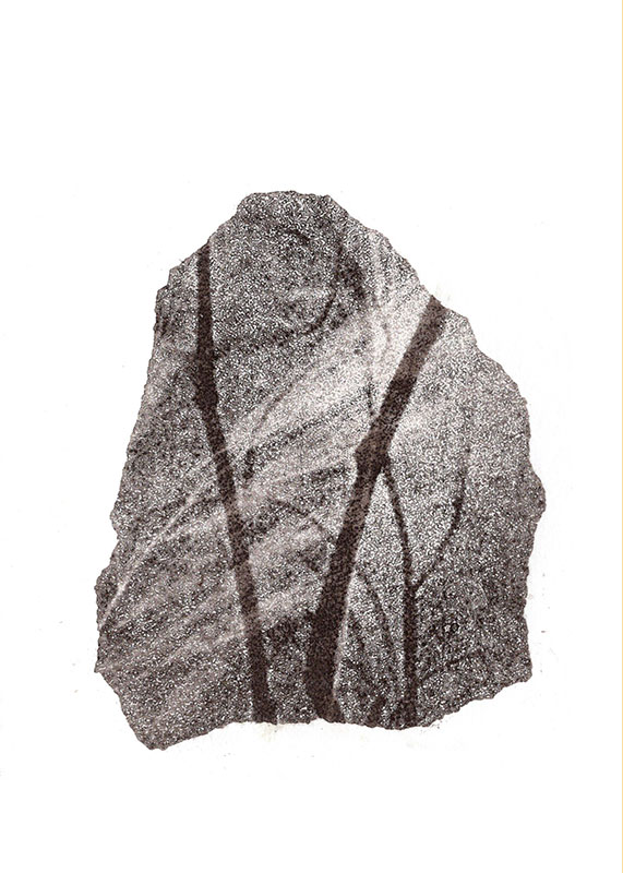 fossiles-en-apesenteur-28