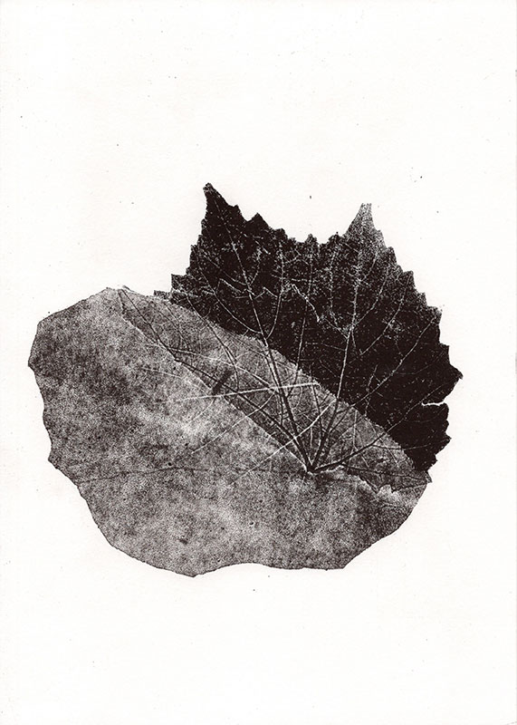 fossiles-en-apesenteur-30