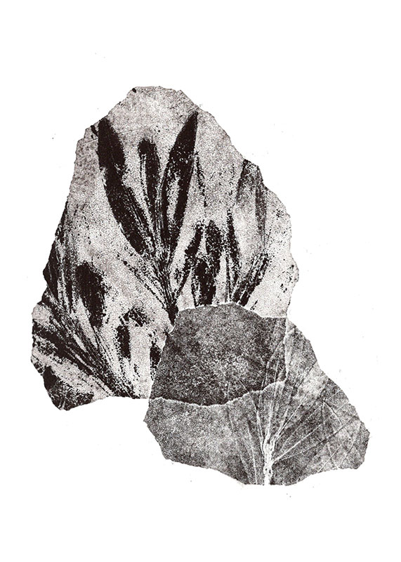 fossiles-en-apesenteur-31