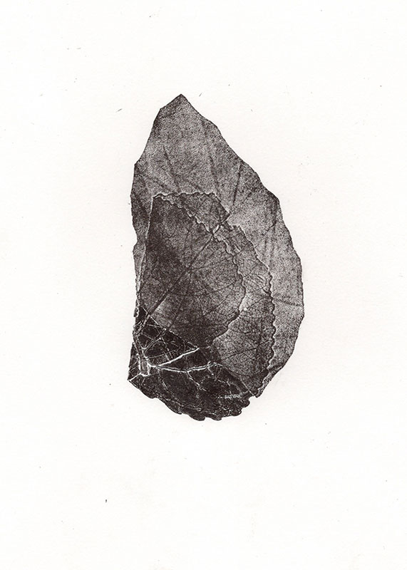 fossiles-en-apesenteur-32