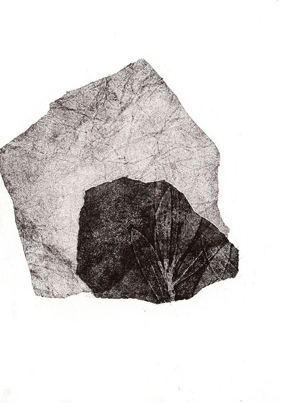 fossiles-en-apesenteur-33