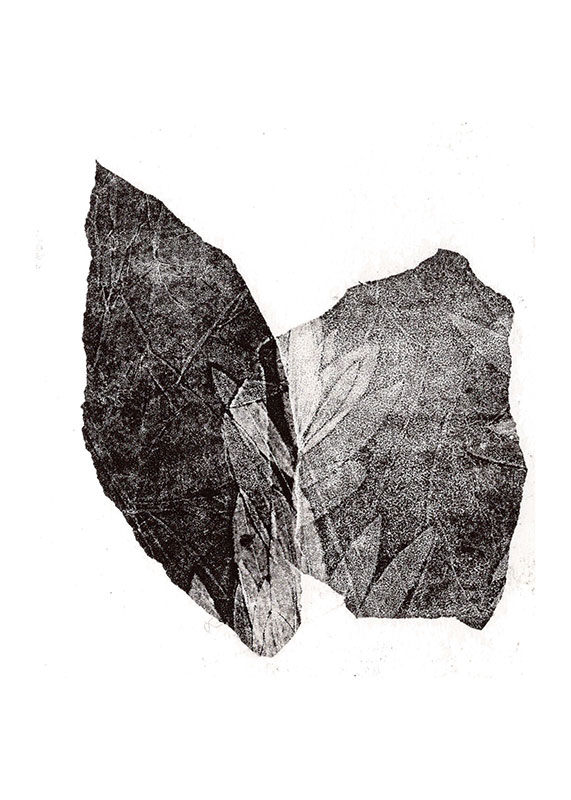 fossiles-en-apesenteur-34