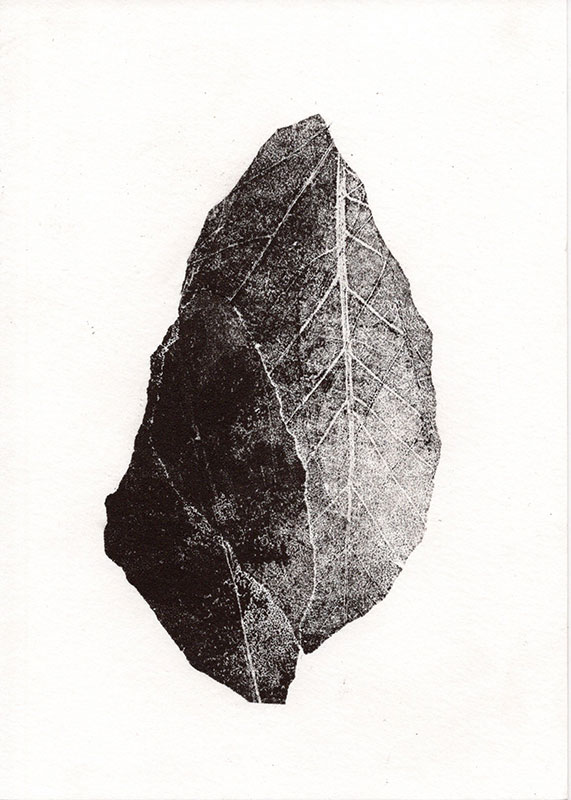 fossiles-en-apesenteur-37