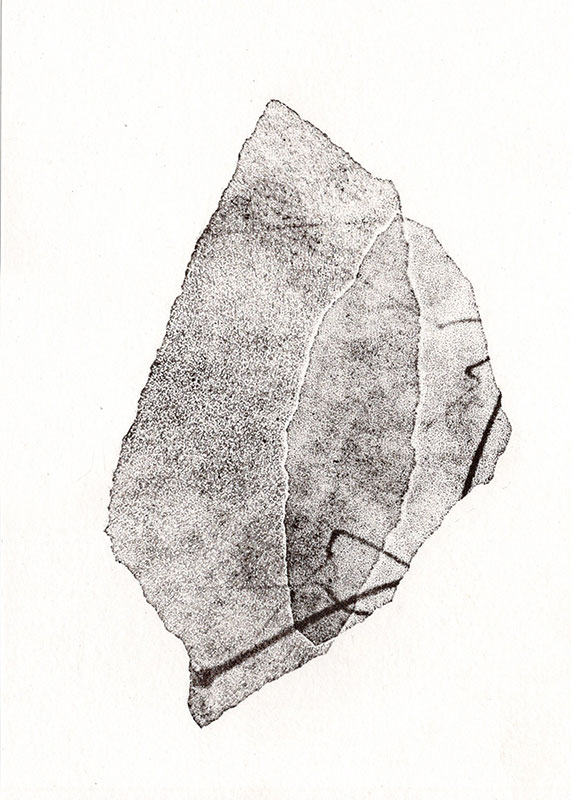 fossiles-en-apesenteur-38