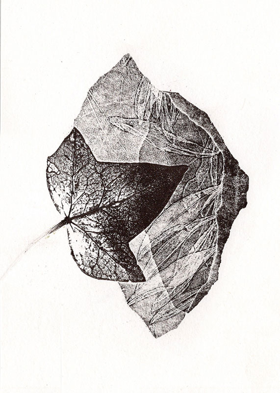 fossiles-en-apesenteur-39