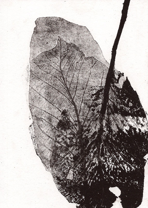 fossiles-en-apesenteur-40