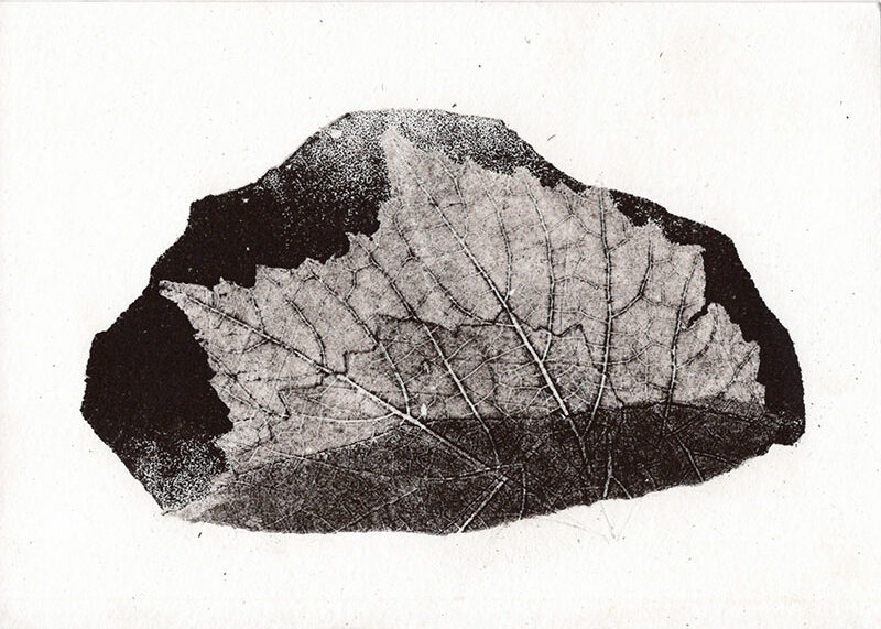 fossiles-en-apesenteur-44